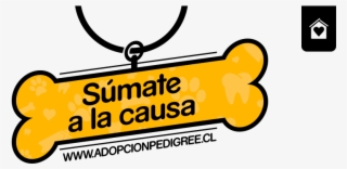 Adopción Pedigree® En Cifras - Adoption