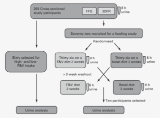 Study Design And General Analysis Workflow - Diagram