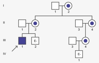 Fabry Disease Pedigree Analysis Case Study - Diagram