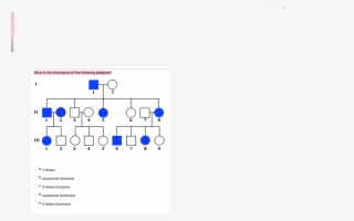 What Is The Inheritance Of The Following Pedigree Y - Diagram