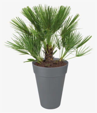 Home > Collection > Loft Urban Round High - Flowerpot