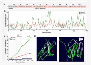 Adaptive Evolution Of Psgs In Yangochiroptera Bat Species - Common Fig
