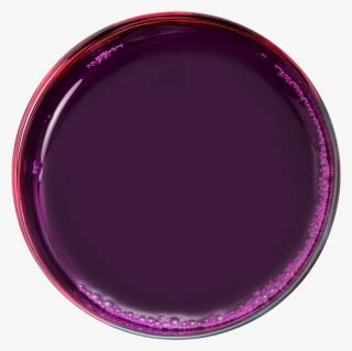 Purplejuice - Circle