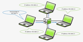 Hub - Switch - Computer Hub For Ip Address