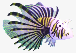 然锋 Fish Tank Decoration Simulation Small Fake Fish - Aquarium