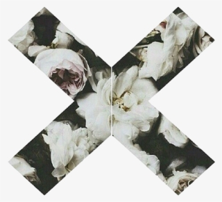 Flower Divider Image Ajcw - Roses Iphone 7 Plus Case