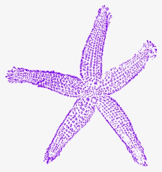 Starfish Clipart Purple Starfish - Fish Clip Art