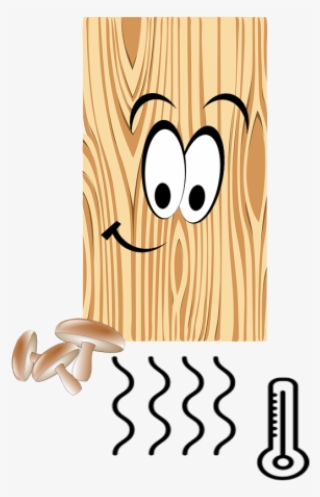 Wood Decomposition