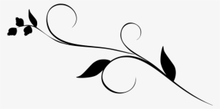 Download Png - Decorative Curves