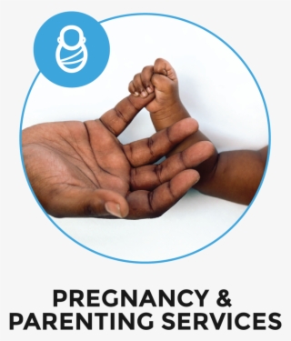 Pregnancy &amp - Parenting - Bible