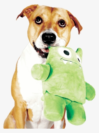 Dog Happily Holding On To Her Tearrible, A Plush Dog - Tearrible Dog Toy