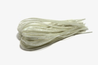 Striper Bass