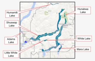 View Background Information And Comment Form - Atlas