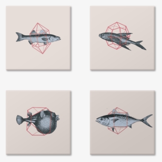 Magneto Peixes Em Formas De Gabriel Cna - Blowing A Kiss Your Way Postcard At Thegardengates.com