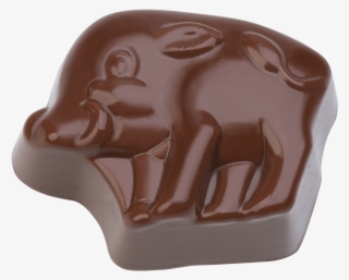 Praline "wild Boar" - Chocolate Boar