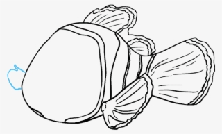 How To Draw Nemo In A Few - Nemo Drawing