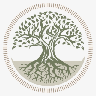 The Logo For “our Roots - Organic And Holistic