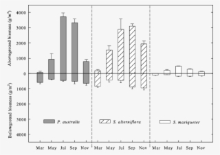 Above-and Belowground Plant Biomass In Salt - Diagram