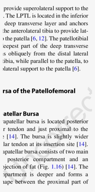 The Deep Infrapatellar Bursa In Relation To The Patella - Met Your Mother Quotes