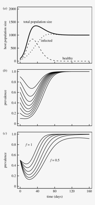 Dynamics Of Host And Parasite In The Epidemiological - Diagram