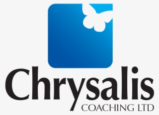 I Work With My Clients To Help Them Achieve What They - Chrysalis Msp