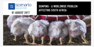 Dumping A Worldwide Problem Affecting South Africa - Trade