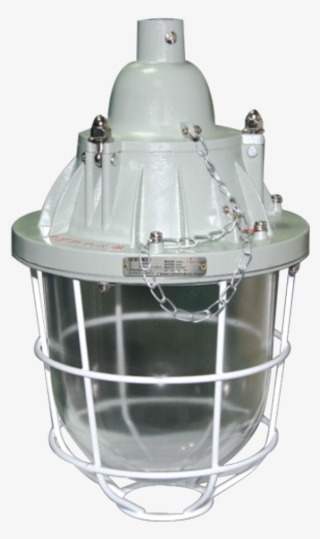 Explosion Proof Lighting - Lighting