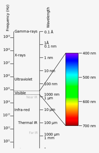 The Mechanics Of Color - Electromagnetic Spectrum Diagram