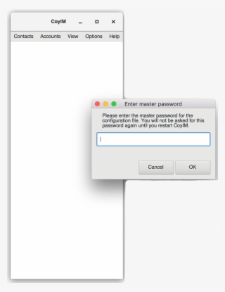 Master Password