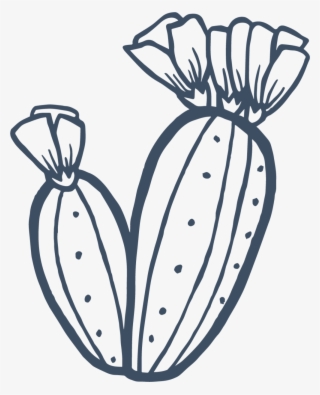 Hot Weather // Fast Food // Being High Maintenance - Cactus Blue