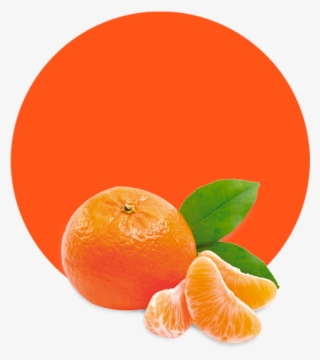 Clementine Oil - Shampoo Hempseed By The Wonder Seed