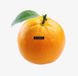 Png - Big Orange