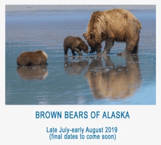 Click On An Icon Below And Share Away - Anchorage Alaska Map