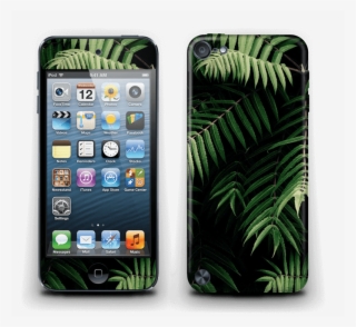 Tropics - Ipod Touch Softball Cases