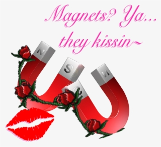 Magnets Ya They Kissin~ ❤ [transparent] - Kiss Me Its My 22nd Birthday Shot Glass