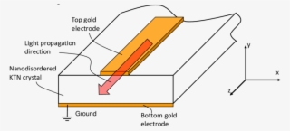 An Illustration Of Field Induced Dynamic Waveguiding - Diagram