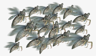 Traditional Games » Thread - D&d Swarm Of Insects