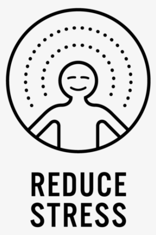 Studies Have Shown That Daily Doses Of Meditation Reduce - Anxiety