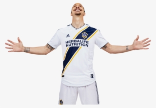 Zlatan Ibrahimovic La Galaxy - Angeles Galaxy Zlatan Ibrahimović