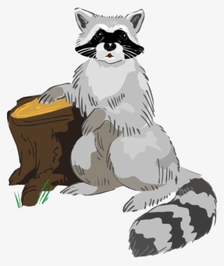 Free Raccoon Clipart - Raccoon Clip Art Free
