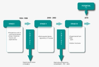 The Developmental Process Of Seaweed Farming In Yucatan, - Process Of Seaweed Cultivation