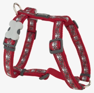 Red Dingo Designer Dog Harness - Red Dingo Skull & Roses Small Dog Harness