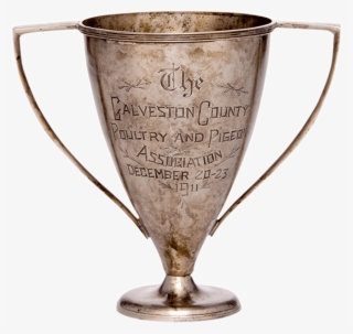 Highest Scoring Chicken Trophy Cup - Trophy