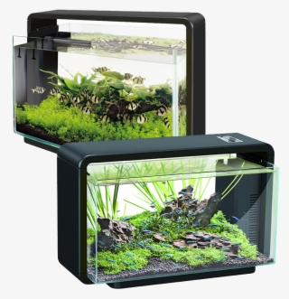 Buy Now - Superfish Home 25 Aquarium (black)
