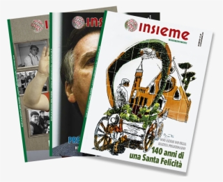 Assinatura Anual Da Revista Insieme Brasil - Flyer