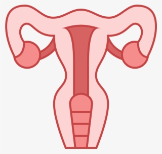 This Icon Represents The Uterus Of A Female Human - Uterus Png