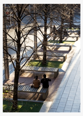 Banca Mayo De Hormigon Gris De Cruz Y Ortiz - Cruz Y Ortiz