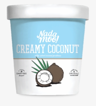 Organic Creamy Coconut Ice Cream Made With Coconut