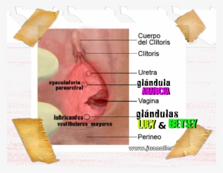 In Honor Of The Enslaved Women Who Were Victims Of - Dosa