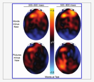 Topographic Maps Of Old/new Differences From Experiment - Topographic Map